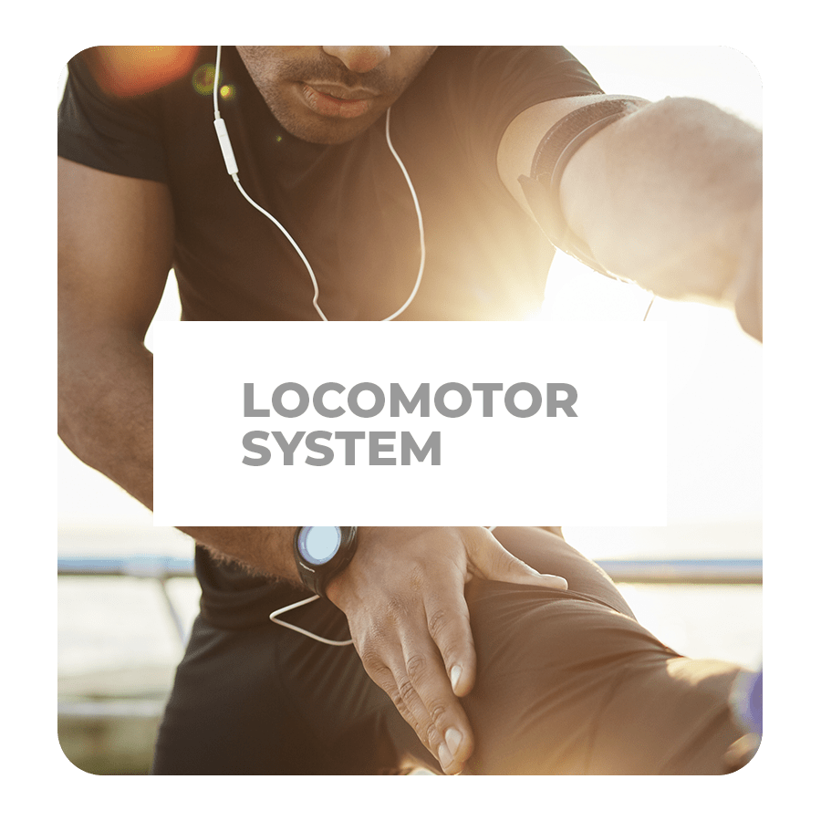 Locomotor System 001